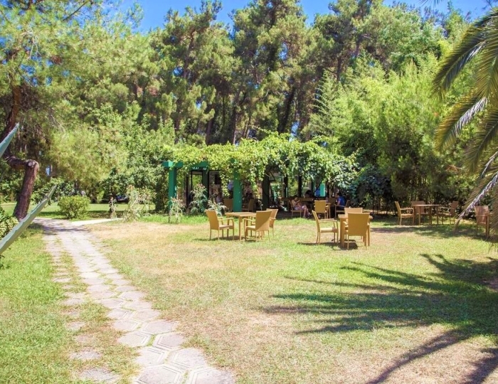 Услуги и развлечения - Отель «Апсара» Пицунда