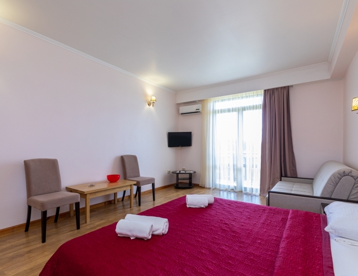 Полулюкс 2-местный 1-комнатный корпус Белый - Отель «Апсара» Пицунда