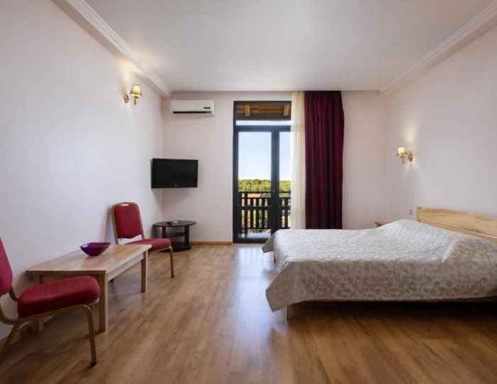 Стандарт 2-местный 1-комнатный Стандарт Белый корпус - Отель «Апсара» Пицунда